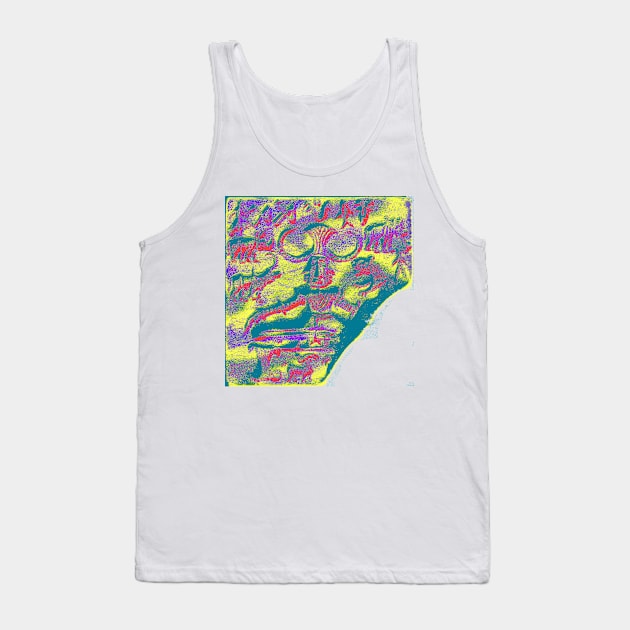 Pasupatinath 6 Tank Top by indusdreaming